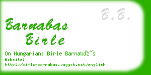 barnabas birle business card